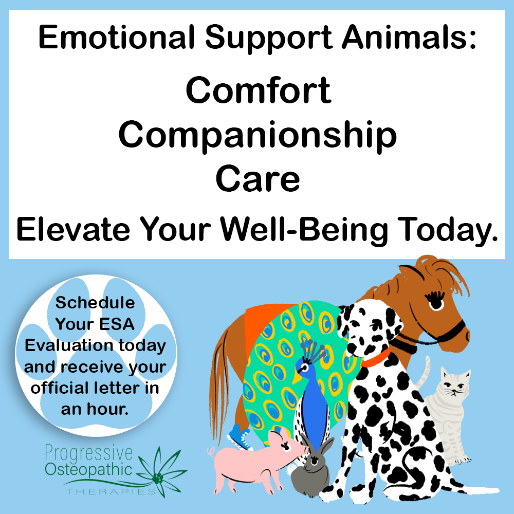 Schedule Your Appointment Now